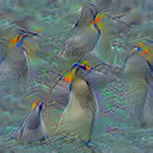 n02051845 pelican